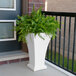 A white Mayne Bordeaux planter with a fern inside.