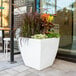 A white square Mayne Kobi planter with plants in it.