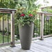 A Mayne Modesto graphite grey planter with a potted plant on a deck.
