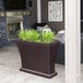 A Mayne Bordeaux espresso planter with grass in it on an outdoor patio.