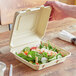 A hand holding a salad in a Tellus bagasse take-out container.
