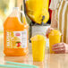 A gallon jug of Carnival King mango slush syrup concentrate next to two cups of yellow mango slushies with dome lids.