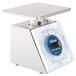 An Edlund Four Star Series stainless steel portion scale with a blue dial.