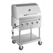 A Backyard Pro stainless steel outdoor grill with roll dome.
