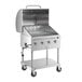 A Backyard Pro stainless steel outdoor grill with a roll dome cover and wheels.