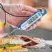 A hand holding a blue AvaTemp folding probe thermometer to measure the temperature of a fish.