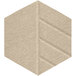 A beige hexagon SoundSorb wall tile with a beige border.