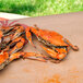 A table with a pile of medium/large Chesapeake blue crabs on it.