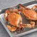 Two small-extra large non-seasoned steamed female blue crabs on a metal tray.