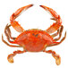 A large blue crab with claws on a white background.