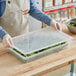 A woman in an apron using a Vigor translucent plastic lid to cover a plastic container filled with salad greens.