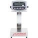 A Cardinal Detecto digital bench scale with a tower display.