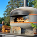 A WPPO professional wood burning oven with wood burning inside.
