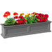 A Mayne Fairfield graphite grey rectangular window box with red and orange flowers.
