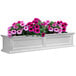 A white rectangular Mayne Fairfield window box with pink flowers.