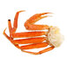 Snow crab legs with a white background.