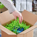 A hand reaching out to a cardboard box filled with Spring-Fill lime green paper shred.