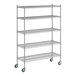 A Regency stainless steel wire shelving unit with 5 shelves.