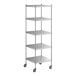 A Regency stainless steel shelving unit on wheels with 5 shelves.