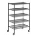 A black metal Regency wire shelving unit with wheels and five shelves.