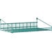 A green Metroseal 3 wire grid shelf with a retaining ledge.
