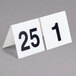 GET NUM-1-25 Numbers 1 Through 25 Table Tent Number Main Thumbnail 4