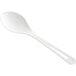 A close-up of a white World Centric compostable soup spoon with a handle.