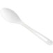 A white World Centric compostable spoon with a handle.