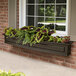 A Mayne Nantucket espresso window box planter on a brick wall with green and purple leaves.