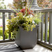 A Mayne Valencia graphite gray planter with a plant in a pot on a porch.