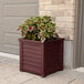 A cranberry red Mayne Lakeland planter with a plant in a pot.