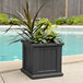 A Mayne Cape Cod graphite gray planter with plants in it.