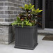 A Mayne Cape Cod graphite gray planter with a plant in it.