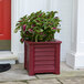 A Mayne cranberry red planter with a plant in front of a red door with a white frame.