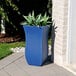A Mayne Neptune Blue planter with green leaves.