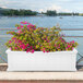 A Mayne white window box planter with pink flowers on a white fence by the water.
