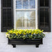 A close-up of a Mayne Nantucket black window box with yellow flowers.