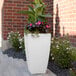 A white planter with pink flowers and green leaves.