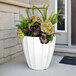 A Mayne Sedona white planter with green and purple plants.