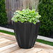 A Mayne black planter with green plants on a wood surface outdoors.