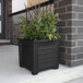 A Mayne Lakeland black planter with a plant inside on the front steps.
