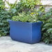 A Neptune Blue rectangular Mayne Valencia Trough Planter with plants in it.