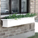 A white Mayne Yorkshire window box with green plants on the side of a brick building.