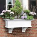 A white Mayne Yorkshire window box with flowers and plants in it.
