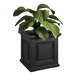 A plant in a Mayne Nantucket black square planter.