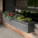 A Mayne Nantucket graphite grey window box with flowers in it.