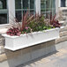 A white rectangular Mayne Yorkshire window box with plants in it.