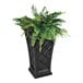 A Mayne black planter with green plants in it.