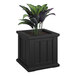 A Mayne Cape Cod black square planter with a plant in it.