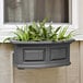 A Mayne Nantucket graphite grey window box with plants on a wall.